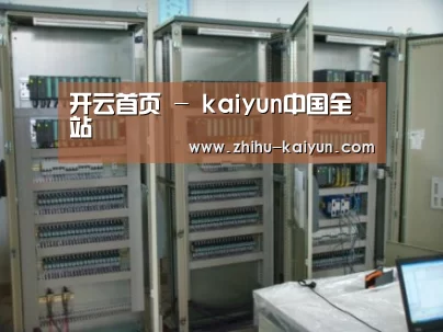 kaiyun案例展示五