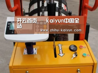 kaiyun案例展示三