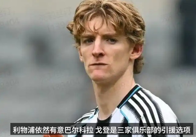 利物浦依然有意巴尔科拉 戈登是三家俱乐部的引援选项 - kaiyunapp